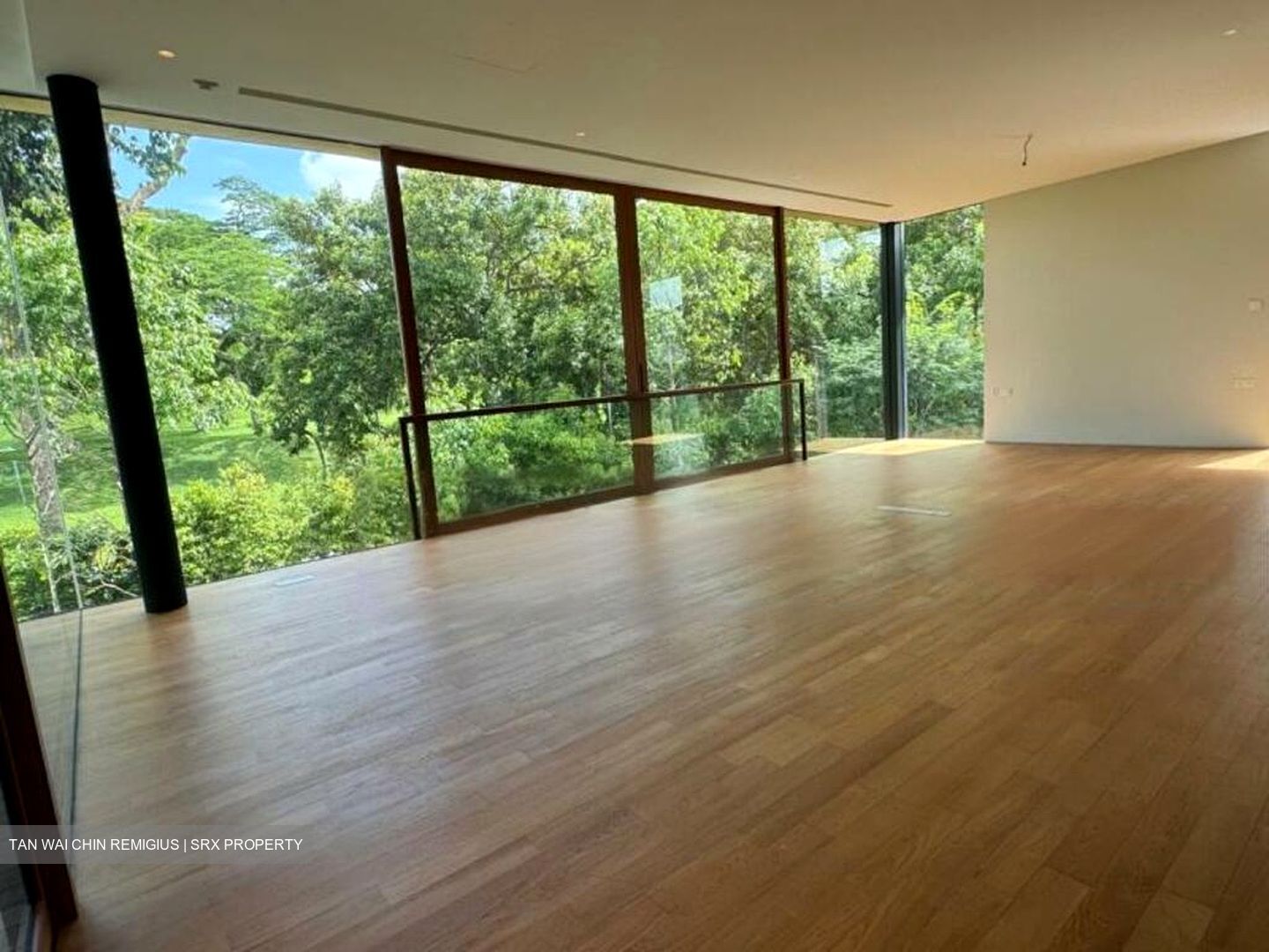 White House Park (D10), Detached #459370181